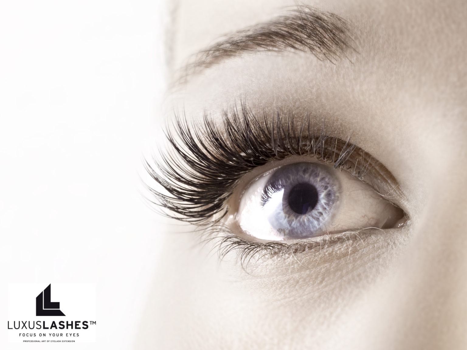 Wimpernverlängerung bei LuxusLashes: meine Erfahrungen Luxuslashes Vienna